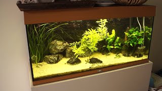 Hoe reinig je de ruiten van het aquarium [upl. by Pouncey496]