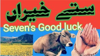 Sevens Good luck دعائیہ جملہ ستے خیراں Punjab Rung Nizzaray [upl. by Aisinoid]