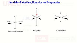 Jahn Taller Effect JahnTaller Distortion High Low Spin Complexes Large Small Delta octahedral [upl. by Onibla]