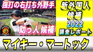 【阪神タイガース】新外国人 調査レポート2022 メジャーFA権取得 外野手 大砲候補か！？8人目の外国人は誰だ！？ マイキー・マートック選手 [upl. by Ardnahcal142]