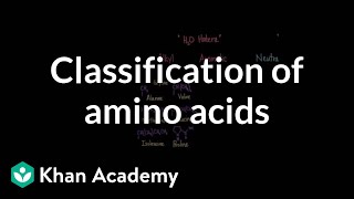 Classification of amino acids  Chemical processes  MCAT  Khan Academy [upl. by Osmond]