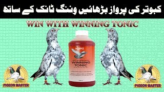 Win with Winning Tonic [upl. by Lisan]