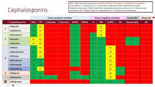 Bacteremia and Clinical Resistance Objective 2 [upl. by Lazaro]