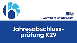 DIE ACADEMY JAHRESABSCHLUSSPRÜFUNG K29 [upl. by Schmidt104]