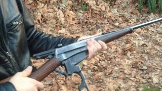 Shooting the Winchester 1895 lever action [upl. by Refinne671]