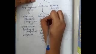 antidiuretics mp4  Pharmacology [upl. by Eelyab]