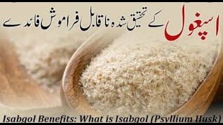 Ispaghol Ke FaydeFawaid  Psyllium Husk Benefits in Urdu اسپغول چھلکا کا استعمال،فوائد۔ [upl. by Helen375]