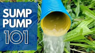 Backyard Sump Pump 101  Everything You Need To Know [upl. by Banna]