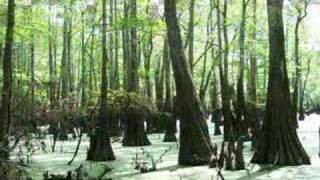 Bangs Slough off Ouachita River  Calion AR [upl. by Nmutua]