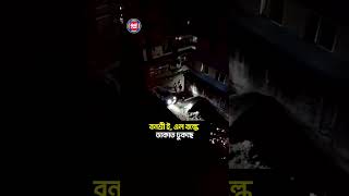 বনশ্রীতে ডাকাত ঢুকছে  কথাCOM shorts  কথাCOM shorts [upl. by Annoyek387]