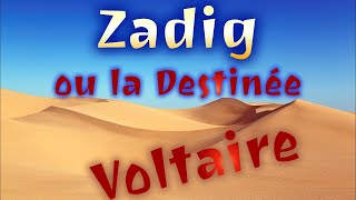 Livre audio  Zadig Voltaire  Epître dédicatoire [upl. by Airdua]