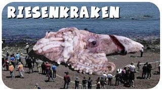 GigaOktopus durch Atomkatastrophe in Fukushima  Transatlantisches Freihandelsabkommen [upl. by Erinn]