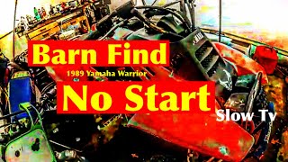 Yamaha Warrior 350 No Start Diagnosis In Depth Full Length [upl. by Anneyehc]