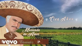 Vicente Fernández  Cien Años Cover Audio [upl. by Lennard592]