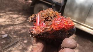 Crocoite from the RED LEAD MINE near Zeehan Tasmania [upl. by Dugas]