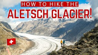 Hiking the Aletsch Glacier The BEST Things to do in Switzerland [upl. by Malanie27]