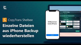 Einzelne Daten aus iPhone Backup wiederherstellen [upl. by Nhaj313]