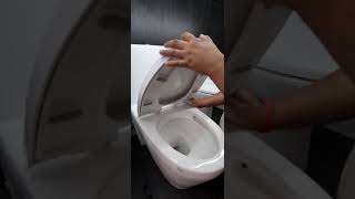 Way to installation toilet bowl cover Sericite Wc1044 [upl. by Pack]