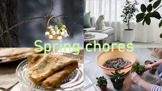 Spring care for indoor plants New flowerpots  Baking spring pancakes  Curious cat [upl. by Latia]