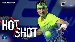 Hot Shot How Does Ferrer Find This Angle Acapulco 2018 [upl. by Irahcaz]