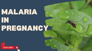 Malaria In pregnancy What you need to know [upl. by Aicener758]