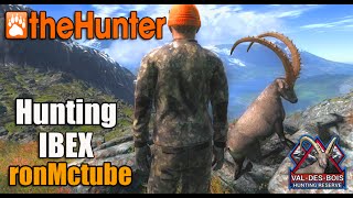 theHunter 2015  Alpine Ibex on ValdesBois [upl. by Sackman]