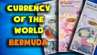 Currency of the world  Bermuda Bermudian dollar Exchange rates Bermuda Bermudian banknotes [upl. by Eilah452]