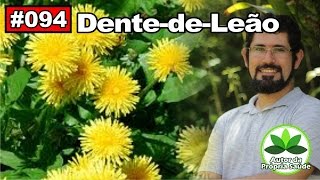 Autor da Própria Saúde – Dente de Leão colesterol gordura no fígado diabetes alergias [upl. by Nirak]