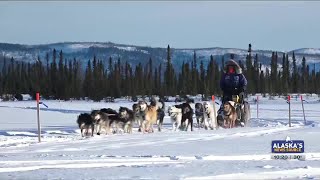 Iditarod favorites check in from Cripple [upl. by Grimonia636]