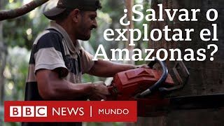 La deforestación es “el problema ambiental más grave de Colombia” según expertos [upl. by Bergstrom]