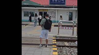 한국의 정동진역 모래시계소나무Koreas Jeongdongjin Station Sand Clock Pine Tree [upl. by Ericha266]