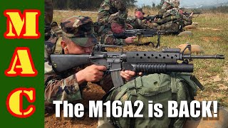 AR15A2s are back A buyers guide to the latest A2s [upl. by Armin]