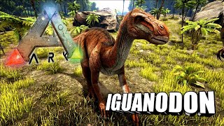 Taming A Iguanodon  Ark Survival Evolved  The Island [upl. by Pell]