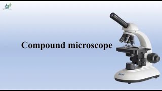 Compound microscope [upl. by Lenaj]