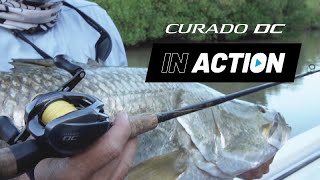 IN ACTION Shimano Curado DC [upl. by Fredela]