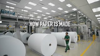 How Paper Is Made [upl. by Jovitah846]