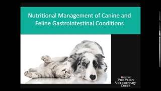 Nutritional Management of Canine and Feline Gastrointestinal Conditions [upl. by Enavi]