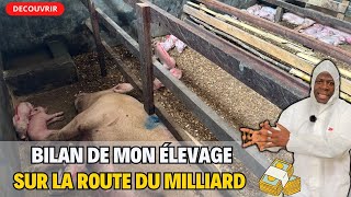 Les réussites et les échecs  Bilan complet de mon élevage de porc après 9 mois [upl. by Huggins]