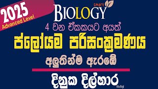 AL biologyPhloem translocationප්ලෝයම පරිසංක්‍රමණයDinuka Dilhara [upl. by Faro]