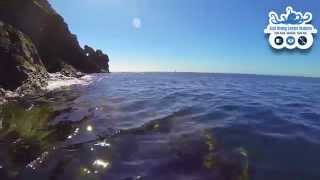 Madeira Island  Baia DAbra Kayak Tour [upl. by Heydon121]