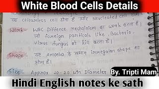 white blood cells in details  Leucocytes  types of WBC  WBC kya hota hai wbcs [upl. by Nagear742]