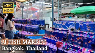 BANGKOK Chatuchak Fish Market quotLargest Fish Market In Bangkokquot  Thailand 4K HDR Walking Tour [upl. by Gnouhk]