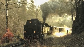 Harzer Schmalspurbahnen März 2012 [upl. by Gram107]