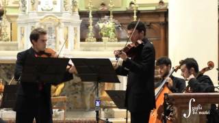 Telemann Concerto for two violas in G major TWV 52G3 [upl. by Joub106]