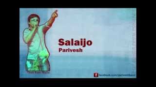 Salaijo Pahadi Thito  Nepali FolkPop Song  Parivesh  Tilak Bam Malla [upl. by Parthenia]