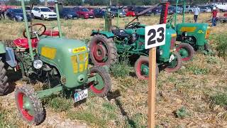 Oldtimertreffen und Schaupflügen Dargun 2024 🚜 AusfahrtRundgangpflügen [upl. by Etem862]