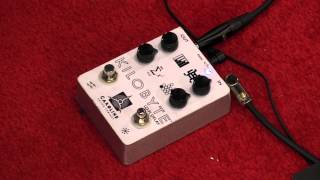 NAMM 2013  Caroline Kilobyte  LoFi Delay [upl. by Tiloine]