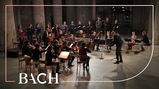 Bach  Cantata Es ist dir gesagt Mensch was gut ist BWV 45  Rademann  Netherlands Bach Society [upl. by Dalpe]