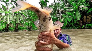 Asian Country Fishing World Awesome Traditional Fishing Festival Of Village And Popular Fish Hunter [upl. by Eustache981]