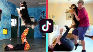 RECREATING DOG TIK TOK VIDEOS [upl. by Enilatan]